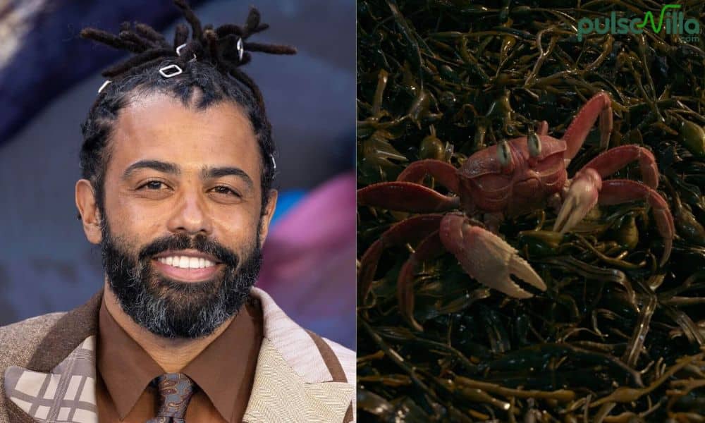 Daveed Diggs as Sebastian Cast of Little Mermaid