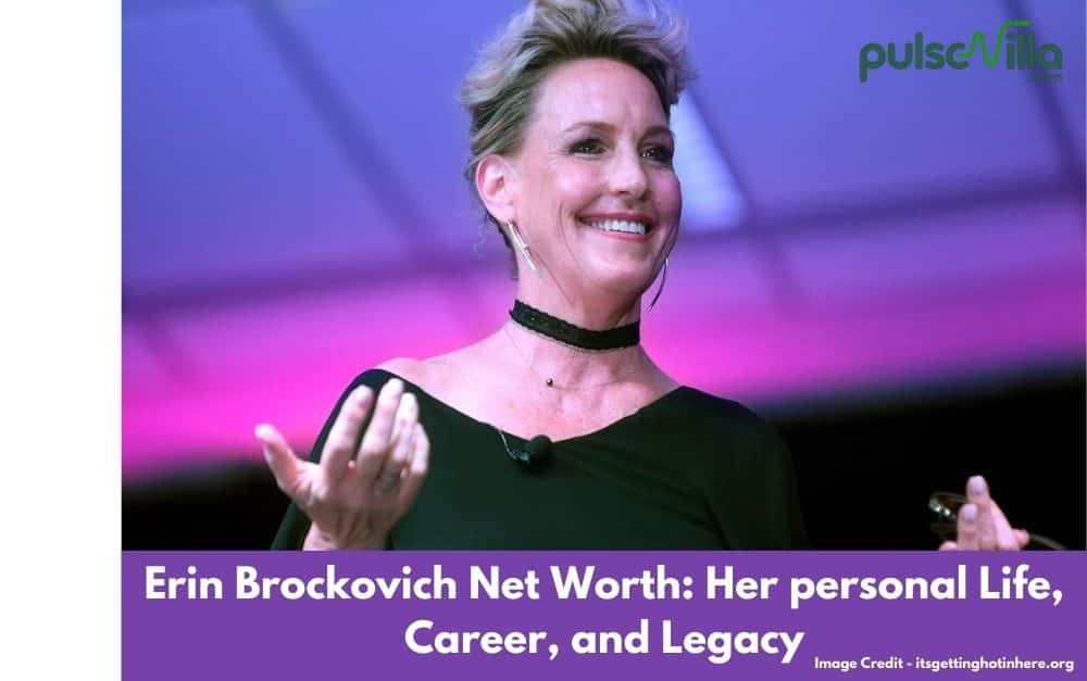 Erin Brockovich net worth